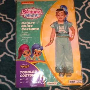 Deluxe shine costume